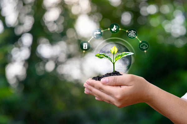 Hand holding a small plant with green energy icons above it against a blurred natural background