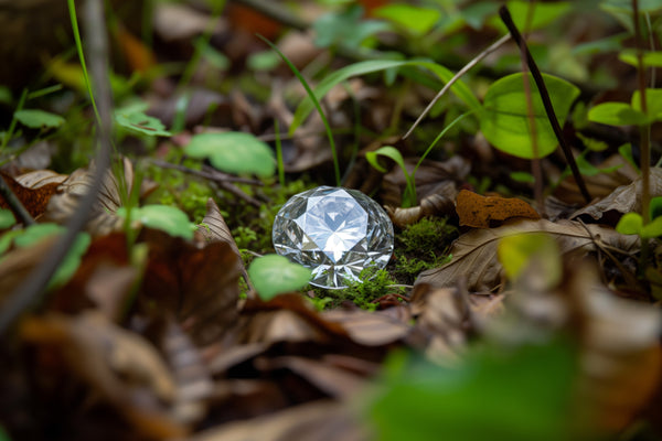 Crystal ball on a bed of leaves and grass