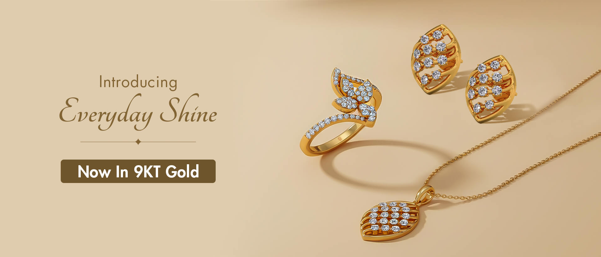 Introducing Everday Shine - Desktop banner