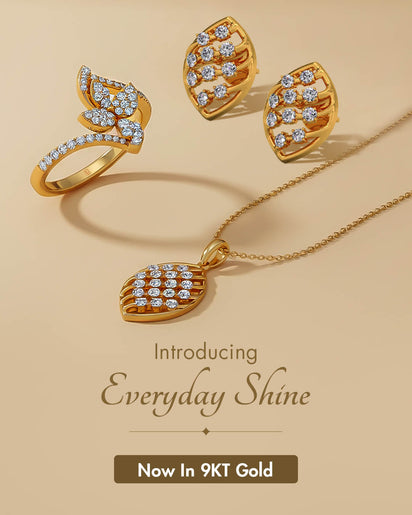 Introducing Everday Shine - Mobile banner