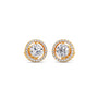 Round Halo Stud Earrings
