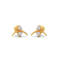 Ring Image