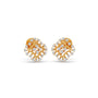 Golden Ray Kite Diamond Stud Earrings