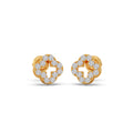 Ring Image