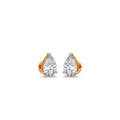 Ring Image