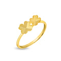 Ring Image