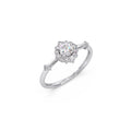Ring Image