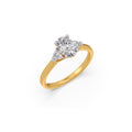 Ring Image