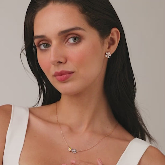 MV